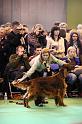 Crufts2010 1745